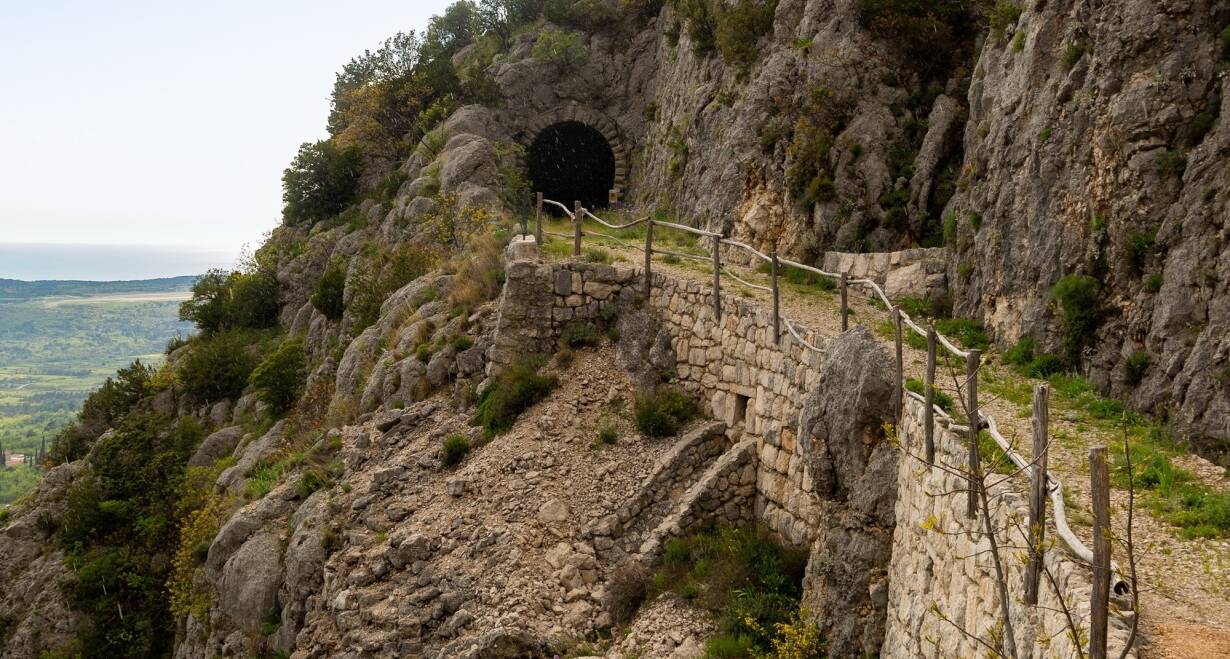 Bosnië en Herzegovina: weelderig oerbos in Sutjeska en bezienswaardig Sarajevo - Bosnië en HerzegovinaOff-road fotosafari (optioneel)