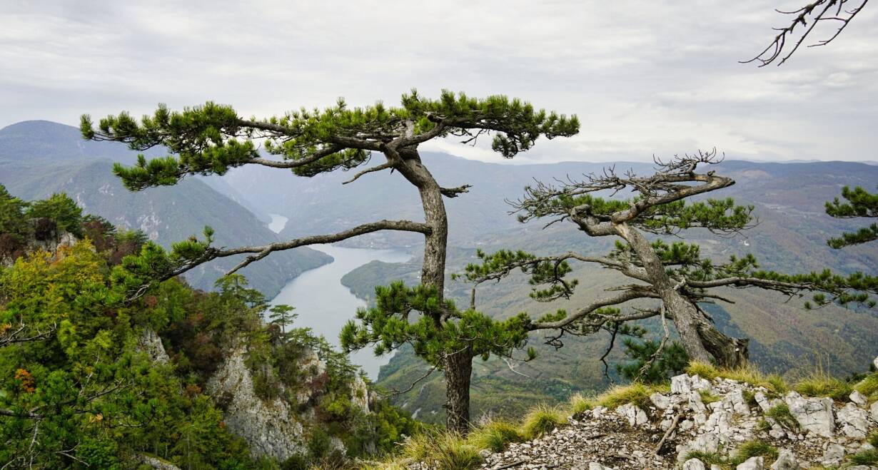 Servië Actief & Cultuur: Novi Sad, Arandjelovac & Belgrado - ServiëHiking en panoramische tour langs de Drina canyon en het Perucica meer