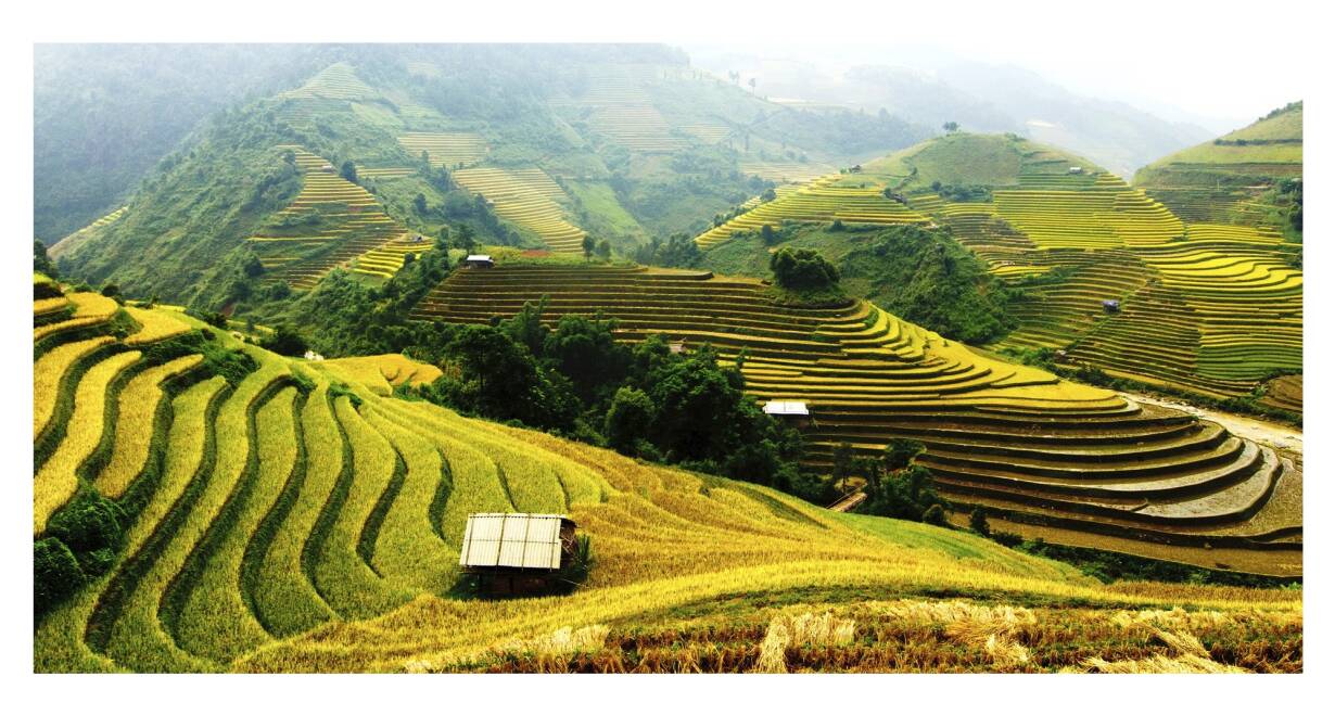 Java & Lombok: authentiek Indonesië - IndonesiëSurabaya - vlucht naar Tetebatu, Lombok