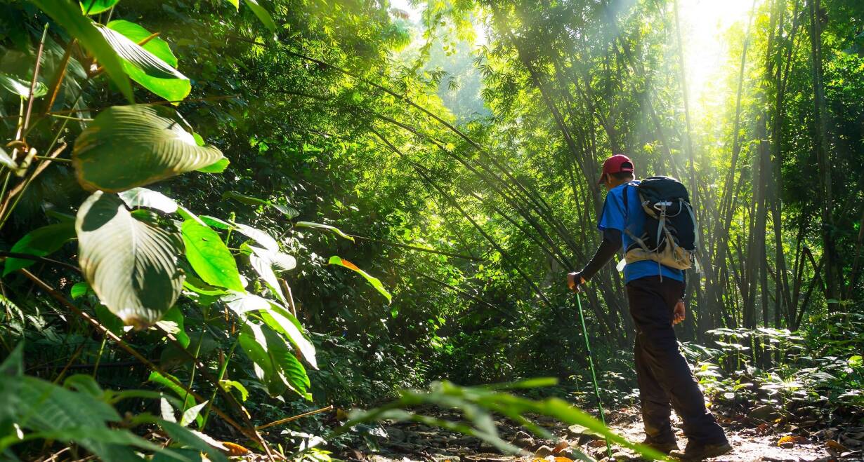 Singapore & Maleisië: bruisende steden en tropische jungle  - SingaporeSungai Kinchin River Cruise en hike naar de Mahkota waterval