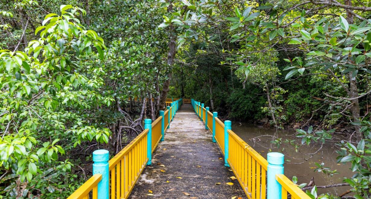 Singapore & Maleisië: bruisende steden en tropische jungle  - SingaporeKilim Geoforest Park