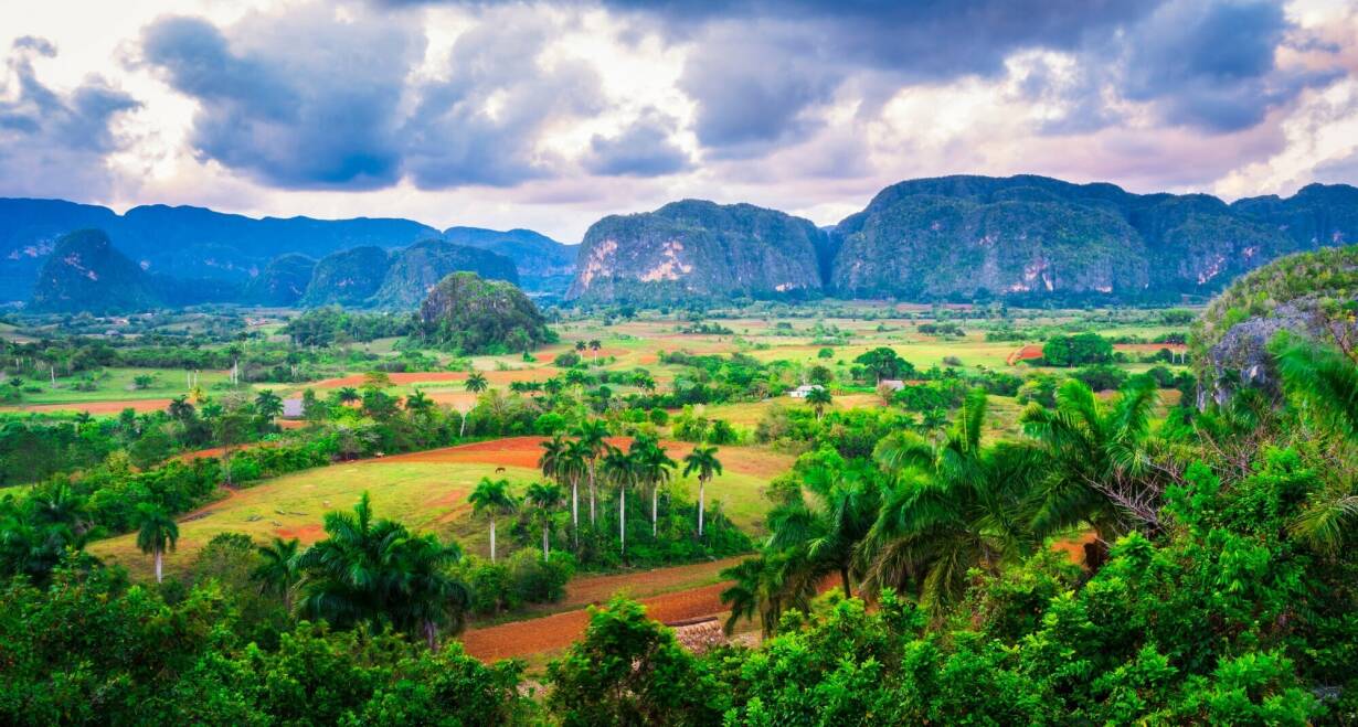 Cuba: het land van felgekleurde oldtimers, tabaksvelden en hagelwitte stranden - CubaZondag in Viñales