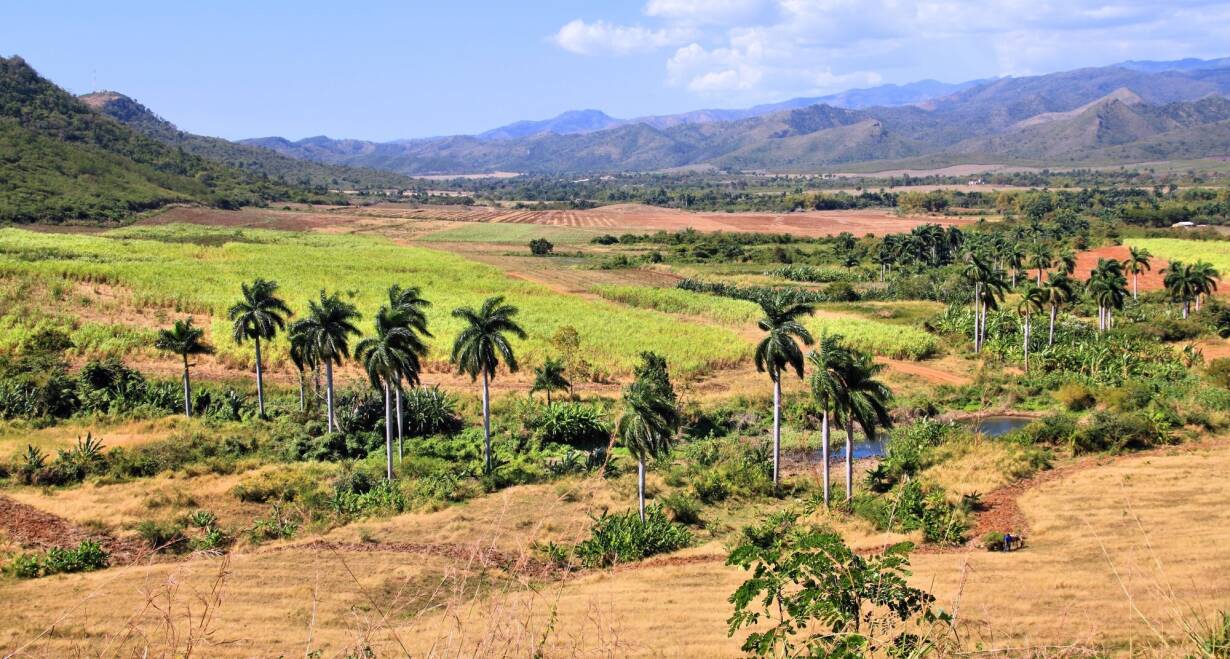 Cuba: het land van felgekleurde oldtimers, tabaksvelden en hagelwitte stranden - CubaTrinidad - Sancti Spíritus - Santa Clara (190 km)