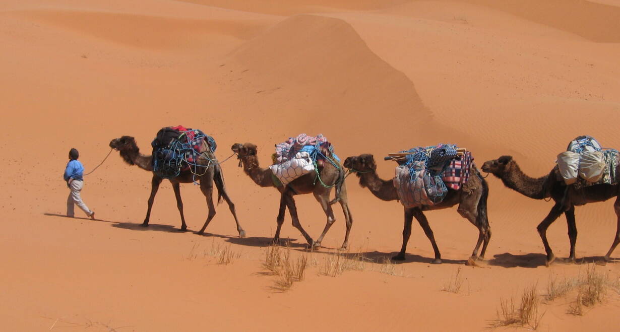 Fly & Drive Marokko: Koningssteden, kasbah's en Atlasgebergte - MarokkoMidelt - Merzouga en zonsondergang rit op een kameel (ca. 270 km)