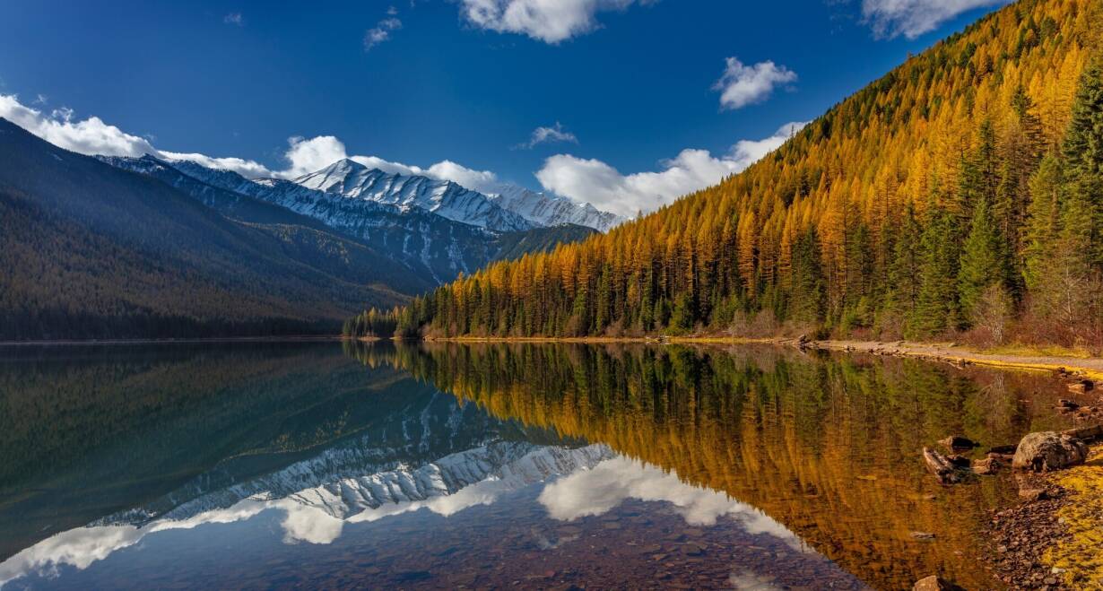 Fly & Drive Amerika en Canada: Yellowstone en de Rockies - Verenigde StatenGreat Falls - Waterton Park (ca. 322 km)