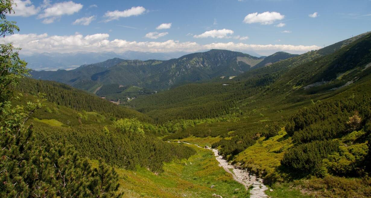 Tsjechië & Slowakije: Historische hoofdsteden en indrukwekkende bergtoppen - TsjechiëBeskydy Mountains - Slovakia Nízké Tatry Mountains 